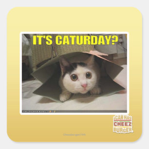 Pegatina Cuadrada ¿Es sábado?