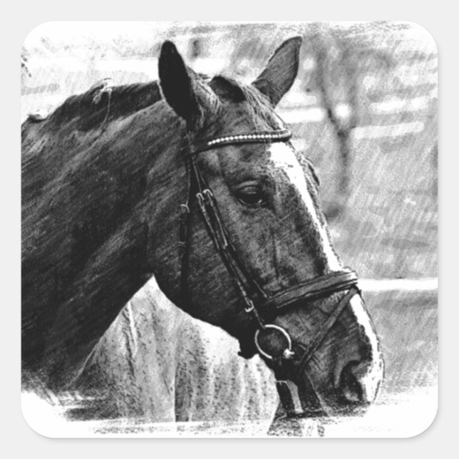 Pegatina Cuadrada Esbozo de caballos blancos negros (Anverso)