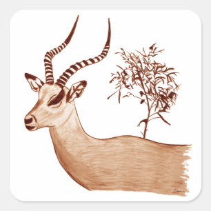 Pegatina Cuadrada Esbozo de dibujo de animales de la especie Impala