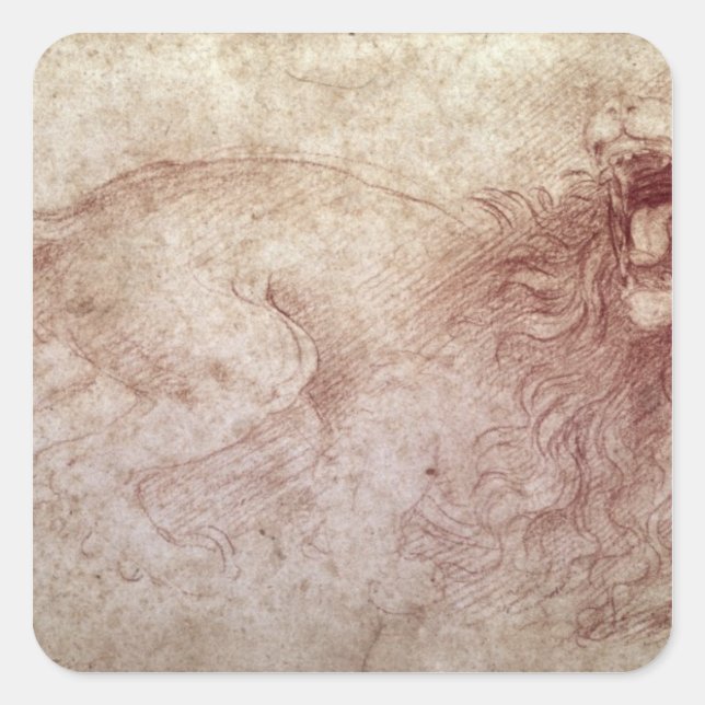 Pegatina Cuadrada Esbozo de un rugido león (Anverso)