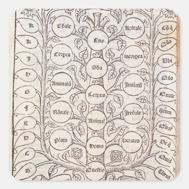 Pegatina Cuadrada Escala celeste (Anverso)