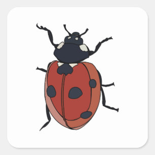 Pegatina Cuadrada Escarabajos Insecto Mariquita Escarabajos