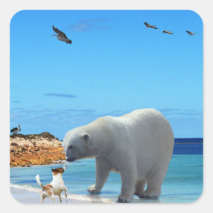 Pegatina Cuadrada Escarcha y pieles: Un oso polar se encuentra con u