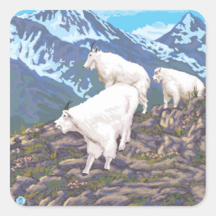 Pegatina Cuadrada Escena de las cabras de montaña - Sitka, Alaska