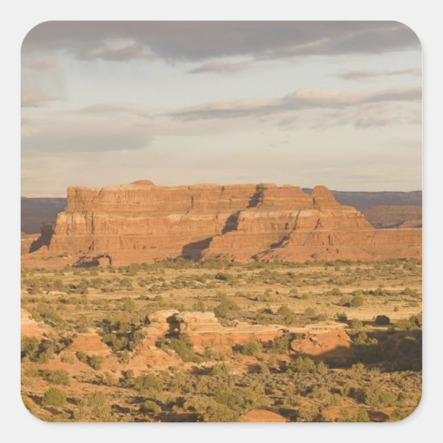 Pegatina Cuadrada Escenario paisaje de desierto invernal en camino h (Anverso)