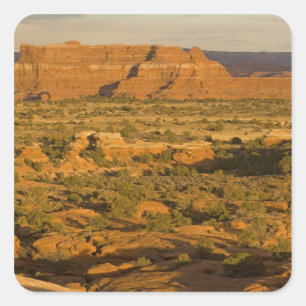 Pegatina Cuadrada Escenario paisaje del desierto invernal en el cami