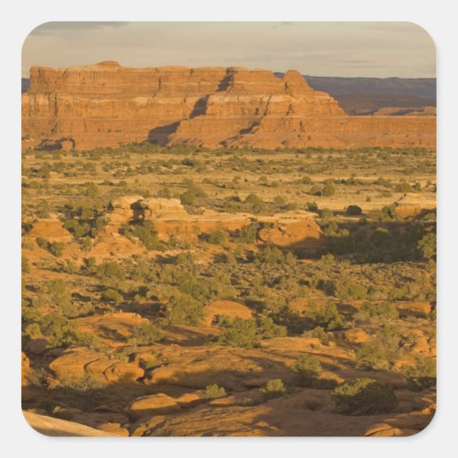 Pegatina Cuadrada Escenario paisaje del desierto invernal en el cami (Anverso)