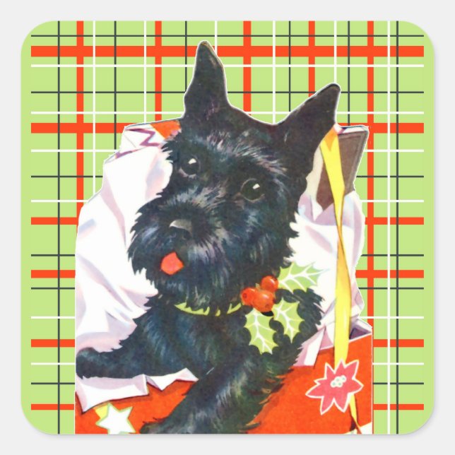 Pegatina Cuadrada Escocia Terrier con pegatinas verdes (Anverso)