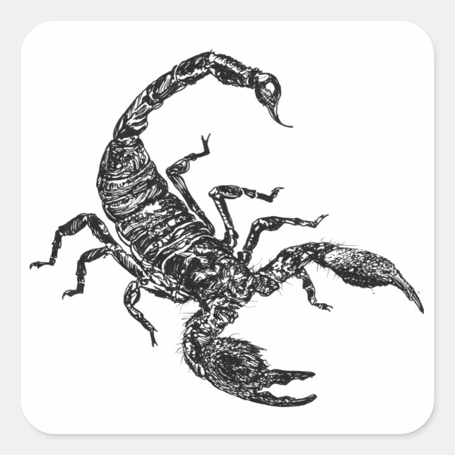 Pegatina Cuadrada Escorpión (Anverso)
