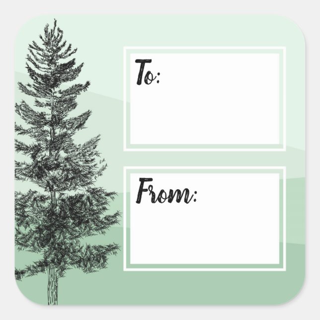 Pegatina Cuadrada Escritura De Moneda De Árbol De Pino Rústico En /  (Anverso)