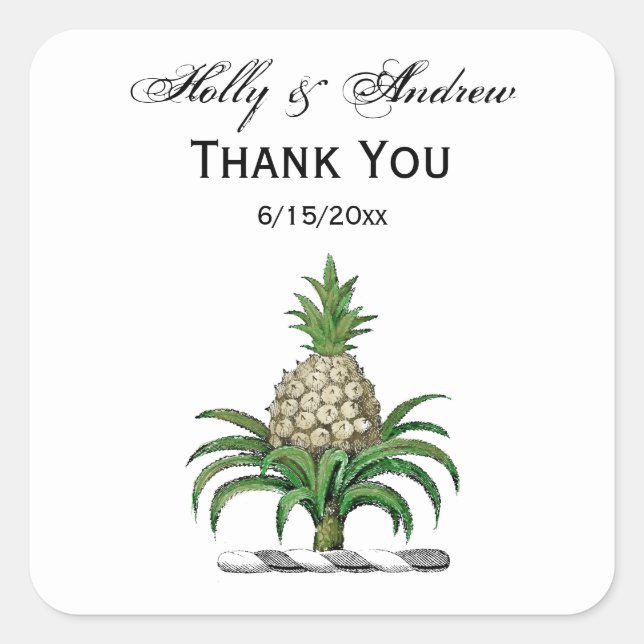 Pegatina Cuadrada Escudo Preppy Heráldica de Cubierta de Piña (Anverso)