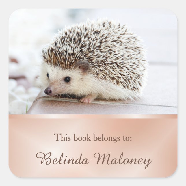 Pegatina Cuadrada Escuela Cute Hedgehog Photo Rosa Gold Book School (Anverso)