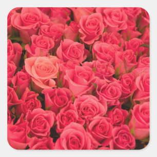 Pegatina Cuadrada ESLOVENIA, Ljubljana: Mercado público de Liublian