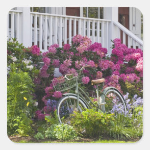 Pegatina Cuadrada Espectacular flor primaveral, anticuario caprichos