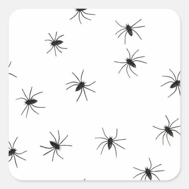 Pegatina Cuadrada Espeluznantes arañas gélidas (Anverso)