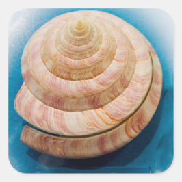 Pegatina Cuadrada Espiral de conchas marinas