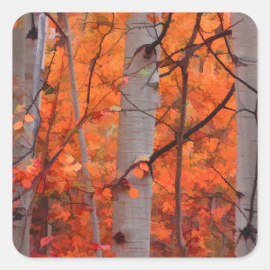 Pegatina Cuadrada Esplendor del otoño