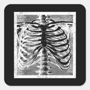 Pegatina Cuadrada Esqueleto Antiguo Huesos Torso Cuerpo Halloween