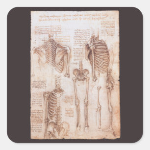 Pegatina Cuadrada Esqueleto de huesos de anatomía humana de Leonardo