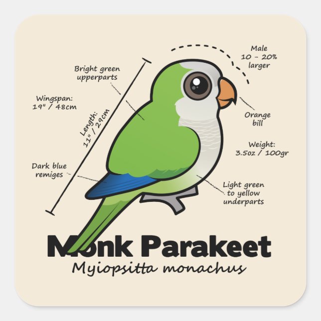 Pegatina Cuadrada Estadísticas del Parakeet del monje (Anverso)