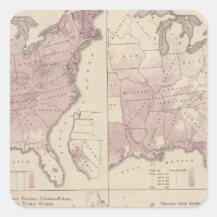 Pegatina Cuadrada Estadísticas Vitales, Censo de los Estados Unidos