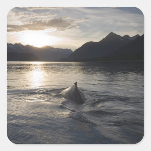 Pegatina Cuadrada Estados Unidos, Alaska, Parque Nacional Glacier Ba