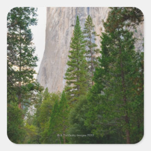 Pegatina Cuadrada Estados Unidos, California, Parque Nacional Yosemi