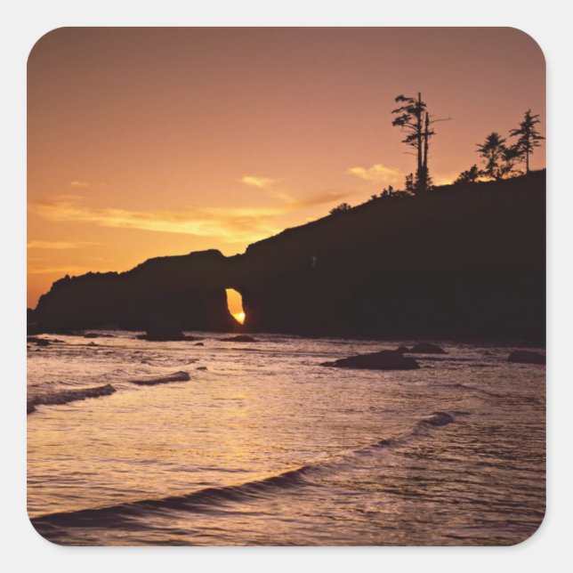 Pegatina Cuadrada Estados Unidos, Estado de Washington, Parque Nacio (Anverso)