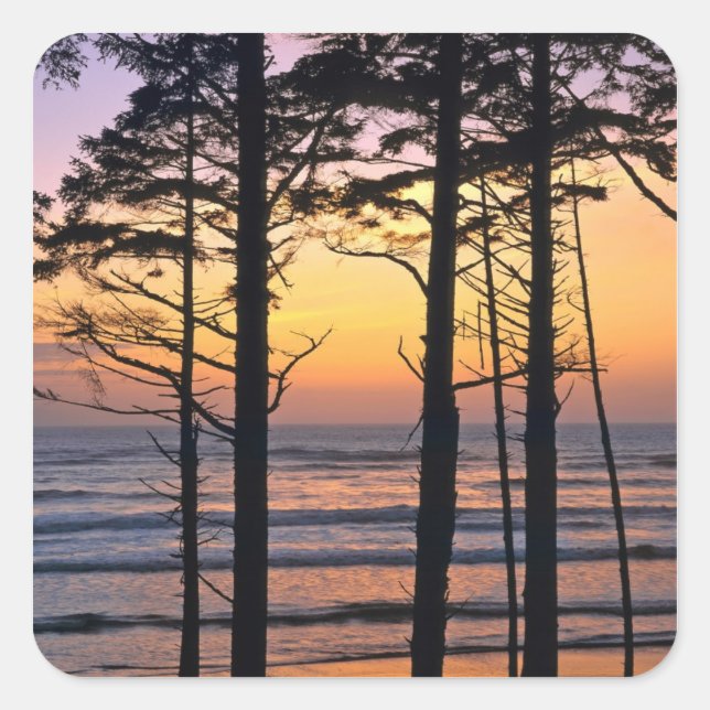 Pegatina Cuadrada Estados Unidos, Estado de Washington, policía olím (Anverso)