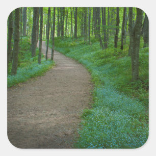 Pegatina Cuadrada Estados Unidos, Michigan. Camino de las cataratas 