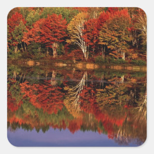 Pegatina Cuadrada Estados Unidos, Michigan, Península Superior. Otoñ
