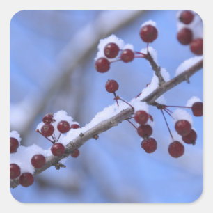 Pegatina Cuadrada Estados Unidos, Nueva Inglaterra, Massachusetts, R