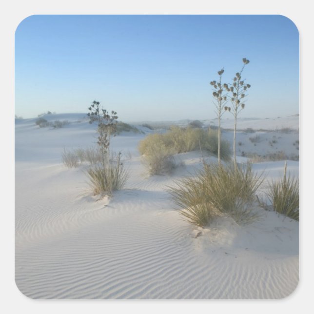 Pegatina Cuadrada Estados Unidos, Nuevo México, White Sands National (Anverso)