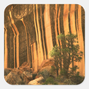 Pegatina Cuadrada Estados Unidos, Utah, Parque Nacional Capitol Reef