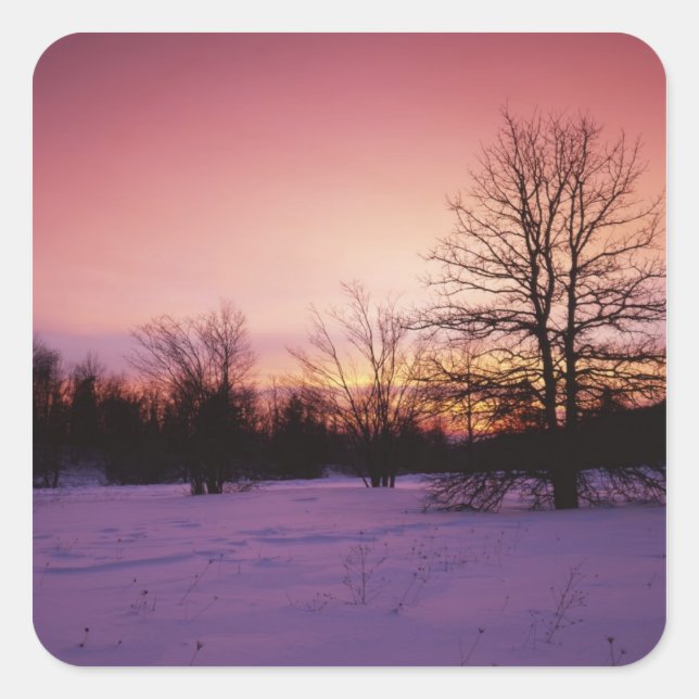 Pegatina Cuadrada Estados Unidos, Virginia, Parque Nacional Shenando (Anverso)