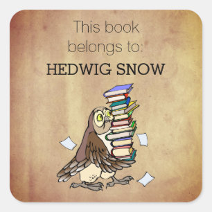 Pegatina Cuadrada Este libro personalizado pertenece al libro de búh