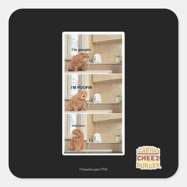 Pegatina Cuadrada ¡Estoy en el popin! (Anverso)