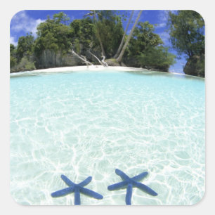 Pegatina Cuadrada Estrellas de mar, Islas Roca, Palaos
