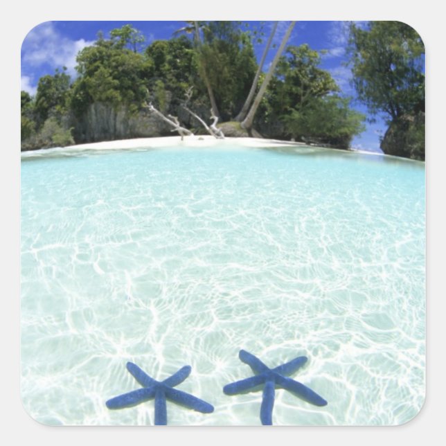 Pegatina Cuadrada Estrellas de mar, Islas Roca, Palaos (Anverso)