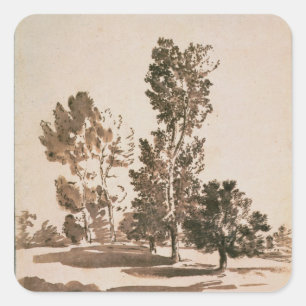 Pegatina Cuadrada Estudio de árbol (lápiz y tinta sobre papel)