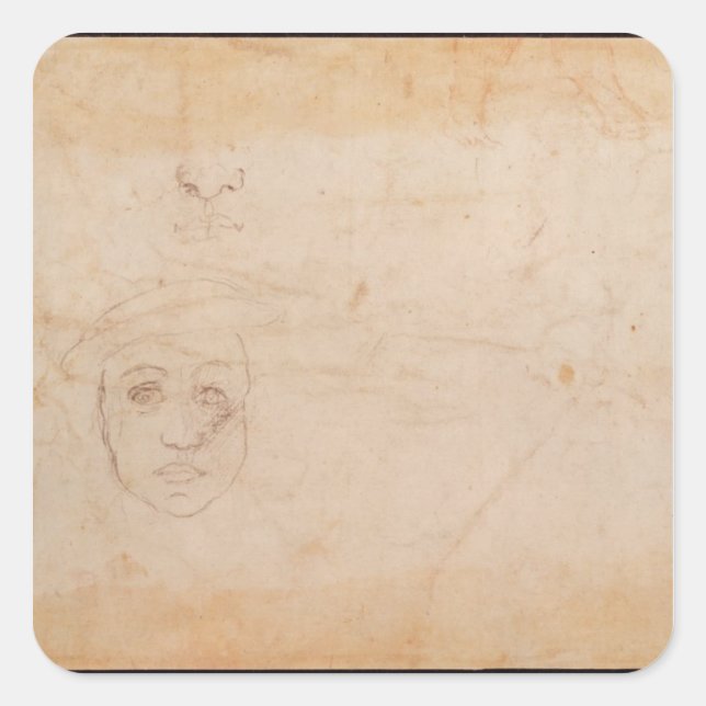 Pegatina Cuadrada Estudio de la cabeza masculina (Anverso)