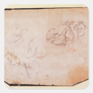 Pegatina Cuadrada Estudio de los músculos