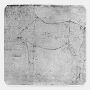 Pegatina Cuadrada Estudio de un caballo