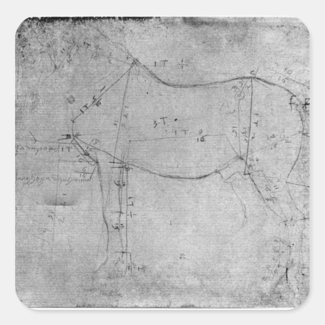 Pegatina Cuadrada Estudio de un caballo (Anverso)