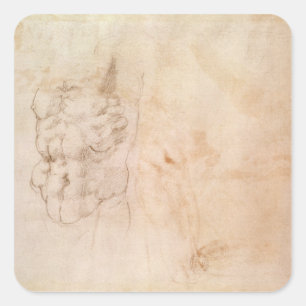 Pegatina Cuadrada Estudio del torso