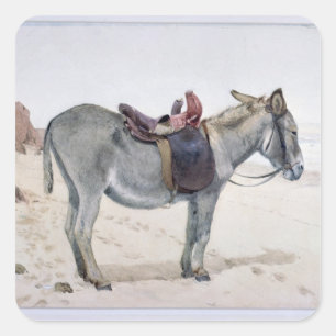 Pegatina Cuadrada Estudios de animales