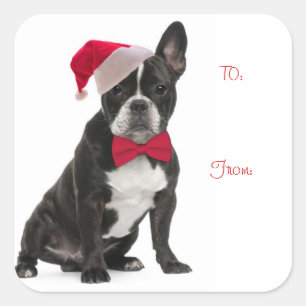 Pegatina Cuadrada Etiquetas de regalo de Santa Frenchie