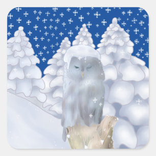 Pegatina Cuadrada Eule im Schnee