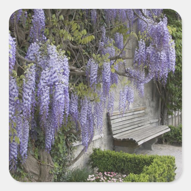 Pegatina Cuadrada Europa, Austria, Salzburgo Stadt, Salzburgo (Anverso)