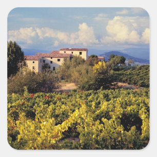 Pegatina Cuadrada Europa, Francia, Bonnieux. Viñedos cubren el